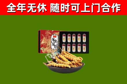 淮安回收冬虫夏草价格